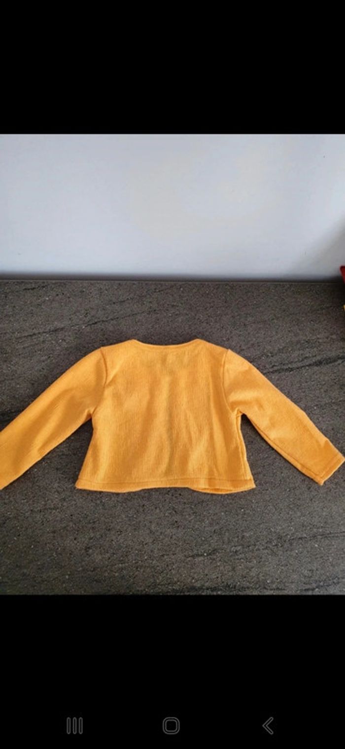 Gilet. - photo numéro 2