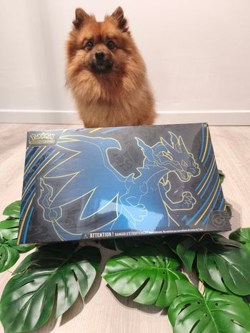 UPC Pokémon - Méga-Dracaufeu X-ex ME02 Flammes Fantasmagoriques