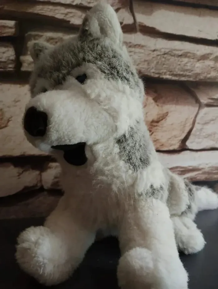 🐻Peluche Husky 🐻