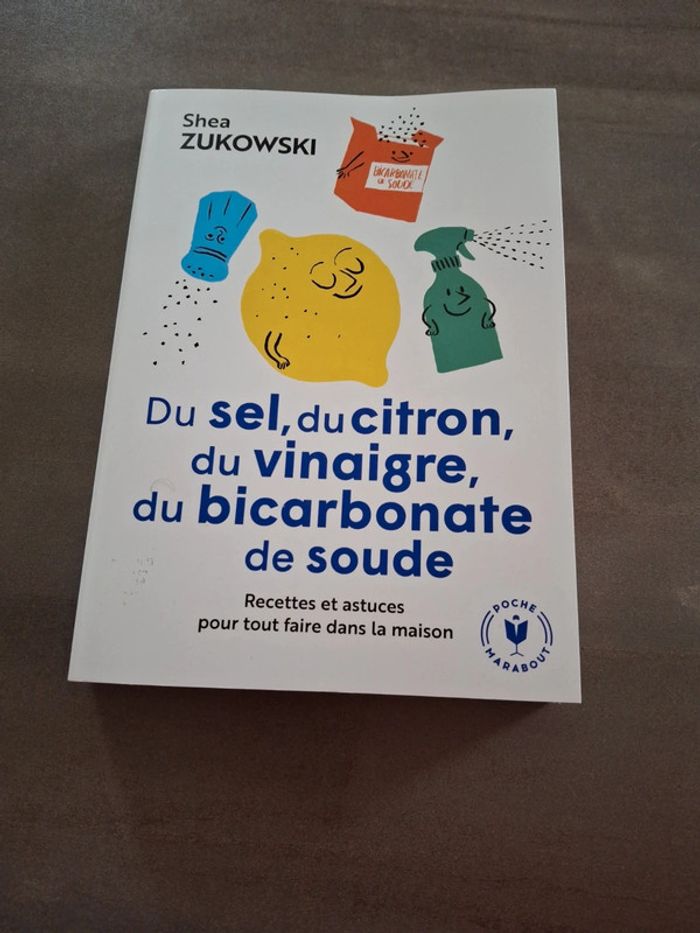 Du sel du citron du vinaigre du bicarbonate de soude