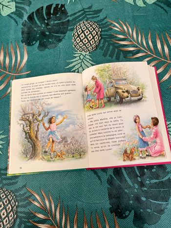 Livre Martine