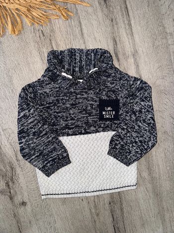 Pull gemo 18 mois