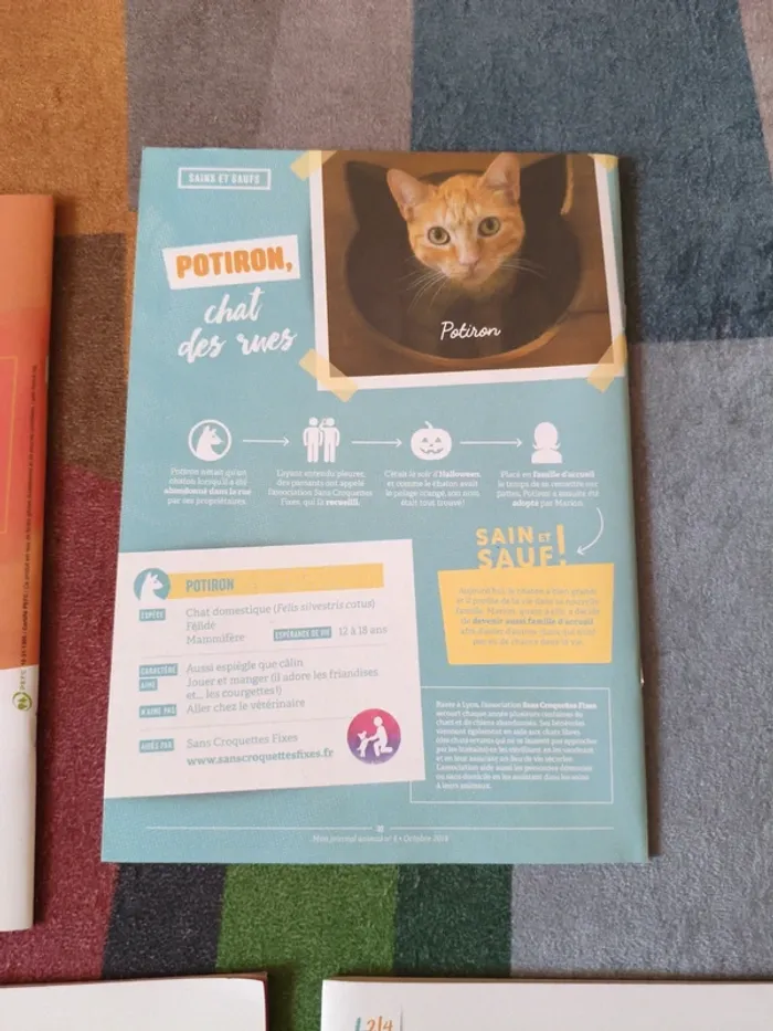 5 magasines Mon Journal Animal - photo numéro 10