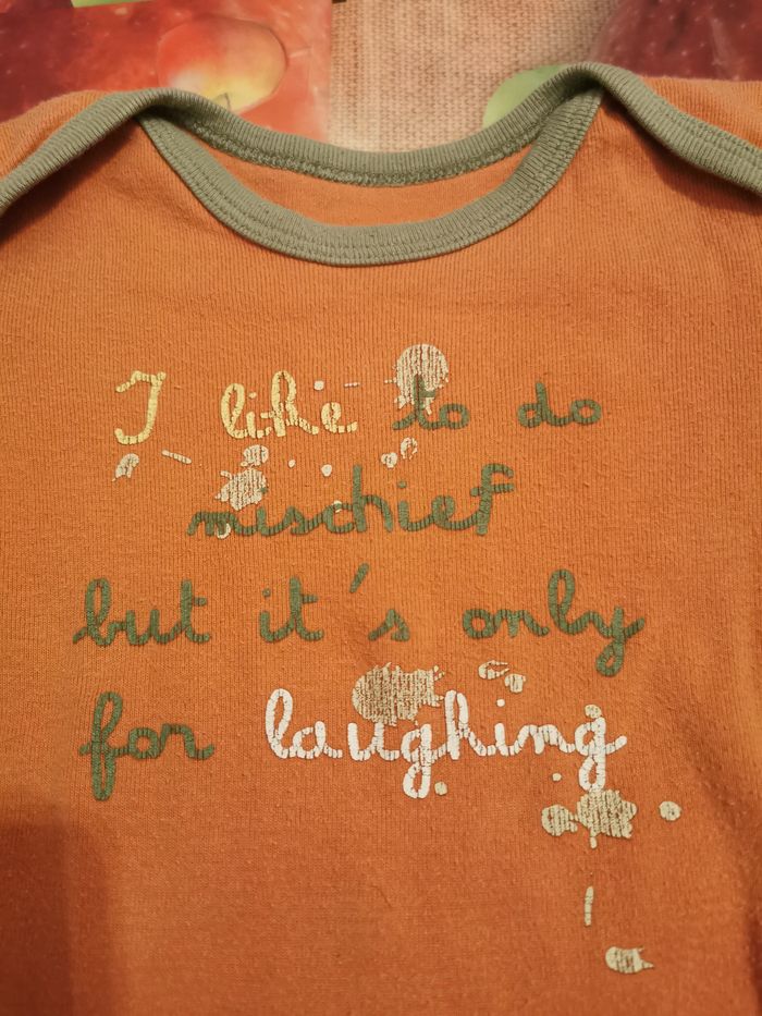 lot de 5 bodies taille 6 mois - photo numéro 5