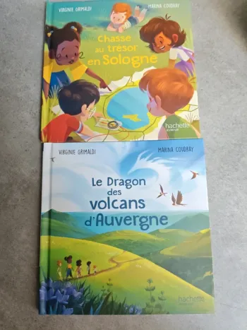 Lot de 2 livres merveilles de France virginie grimaldi