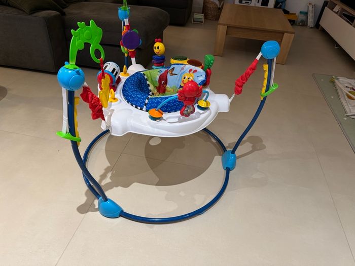 Jumperoo Baby Einstein - photo numéro 4