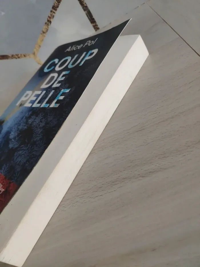 Livre grand format coup de pelle Alice Pol thriller - photo numéro 7