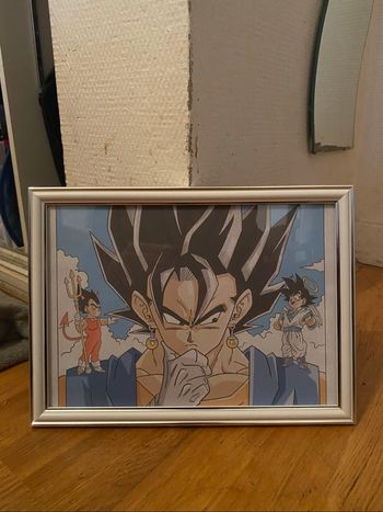 Cadre dragon ball