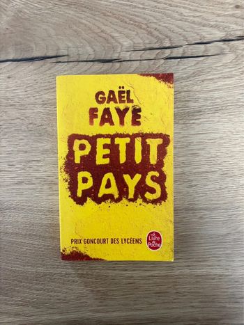 Livre Petit Pays Gaël Faye