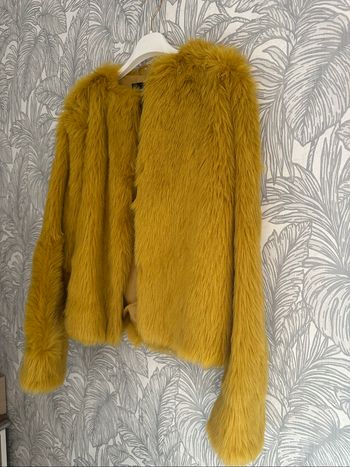 Veste en fourrure