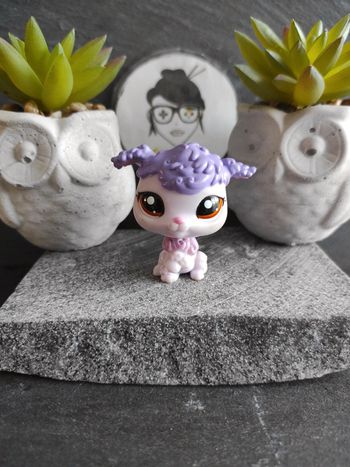 Littlest Petshop Pet Shop LPS dog chien caniche poodle 1694 #geektradelpschien