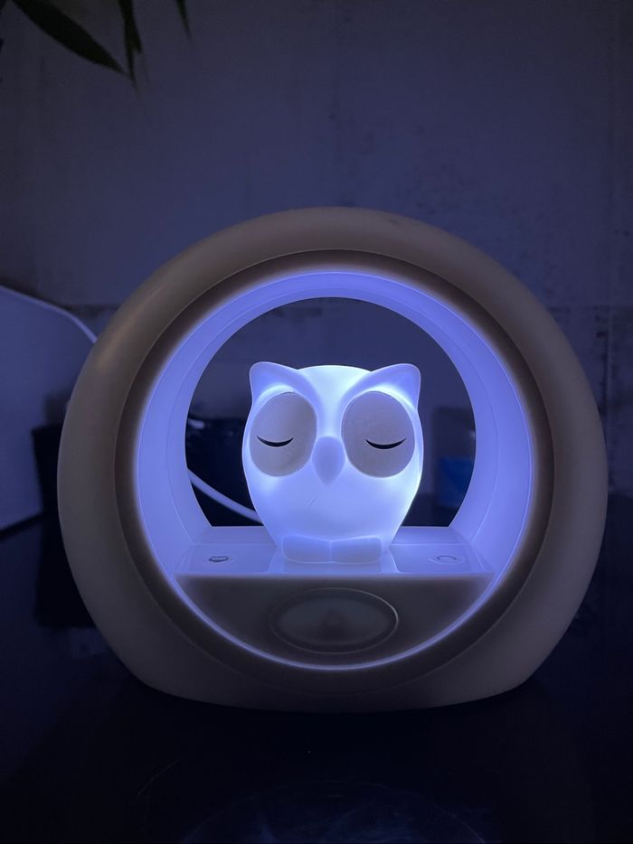 Veilleuse hibou - photo numéro 2