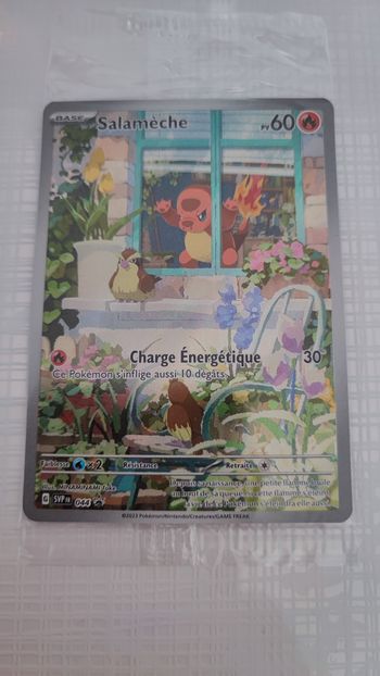 Carte Promo Salamèche 044