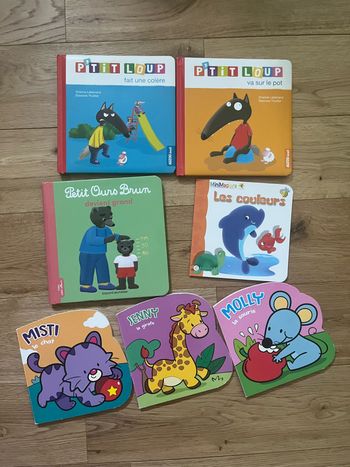 Lot de livres pour petits