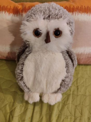 peluche chouette bukowski