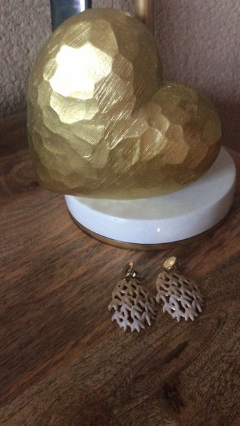 Boucle d oreilles chic neuves