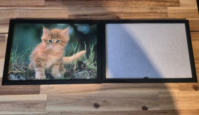 Galerie photo chat 2 cadre et 12 photo et 1 livres - photo numéro 3