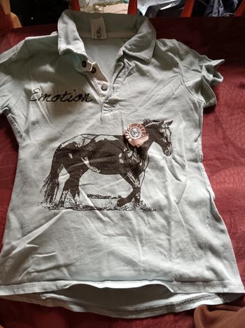 Polo equitation