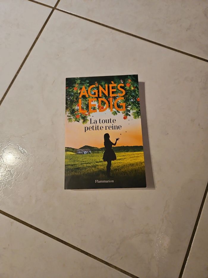 Agnès Ledig La toute petite reine U18