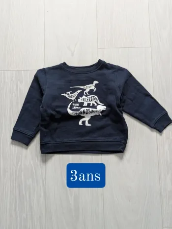 Pull dinausore Verbaudet 3ans