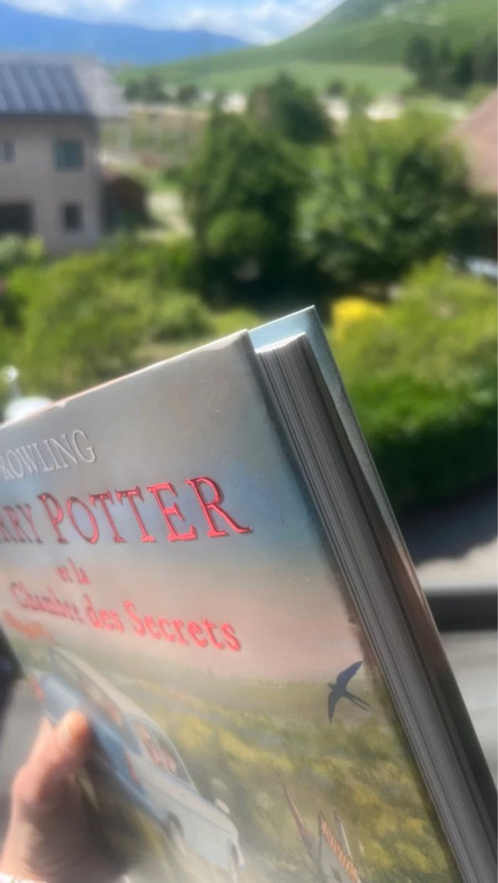 Harry Potter et la chambre des secrets – Édition illustrée - photo numéro 4