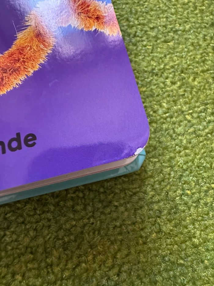 Lot de 2 livres à toucher Noël - photo numéro 13