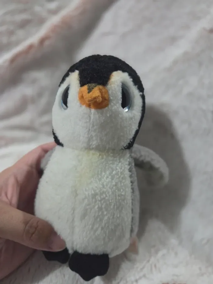 Pingouin - photo numéro 5