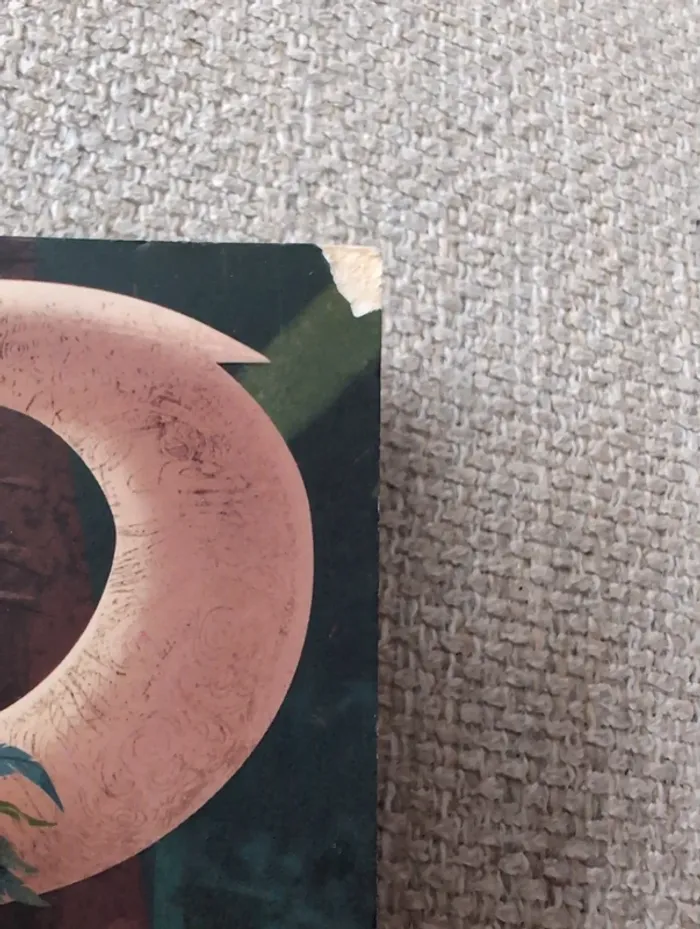 Livre d activité vaiana - photo numéro 2
