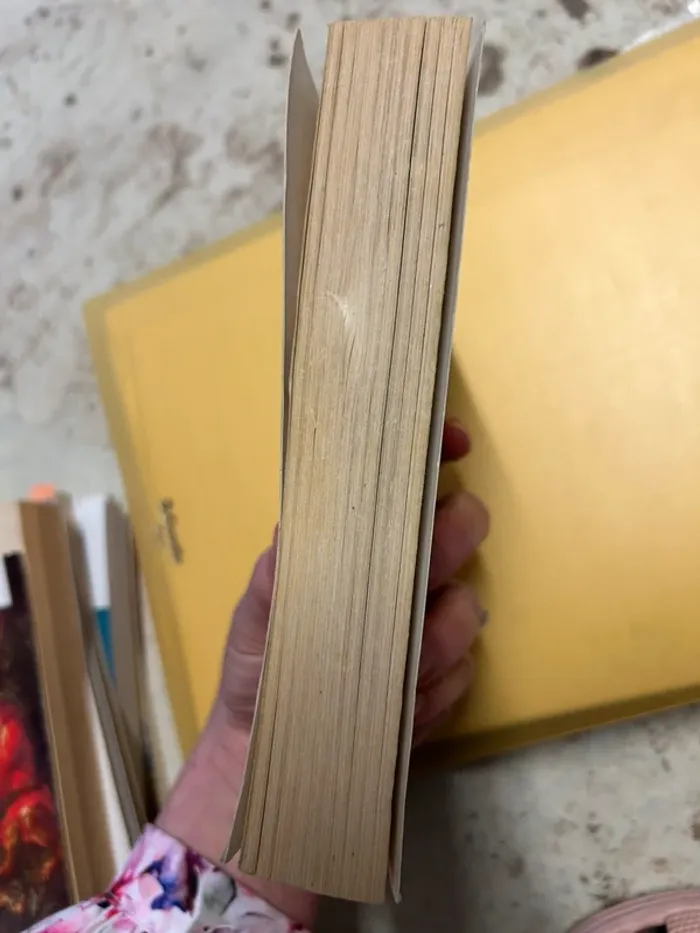 La fortune des rougon Zola - photo numéro 4