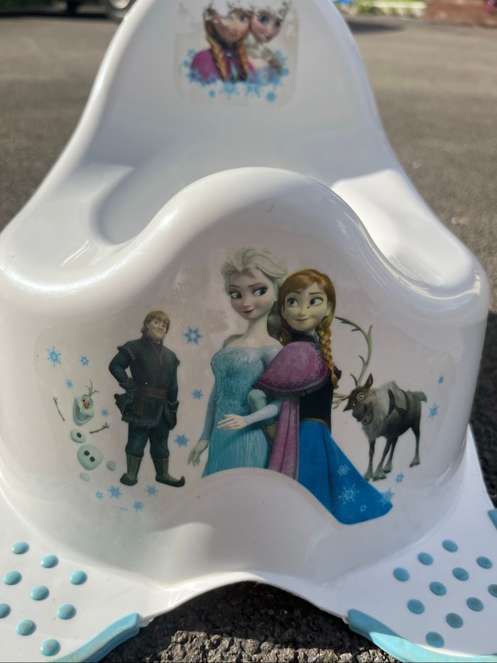 Pot reine des neiges - photo numéro 3