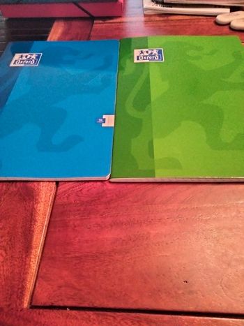 Lot de 2 grands cahiers 96 pages oxford
