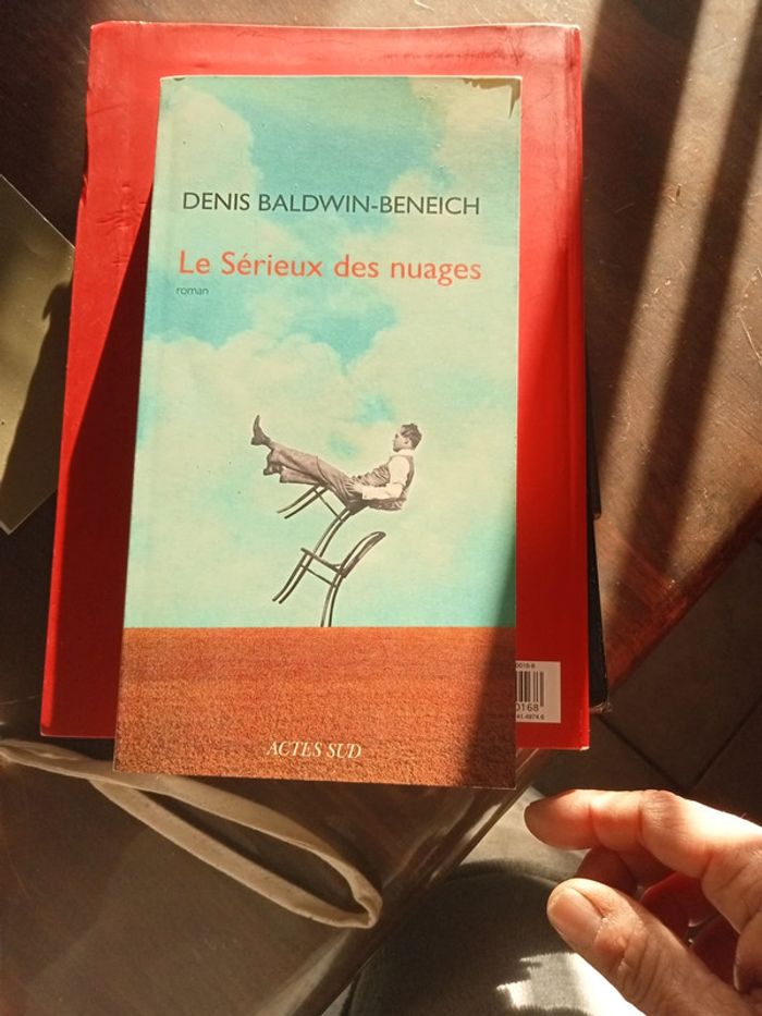 Livre Denis Baldwin -beneich