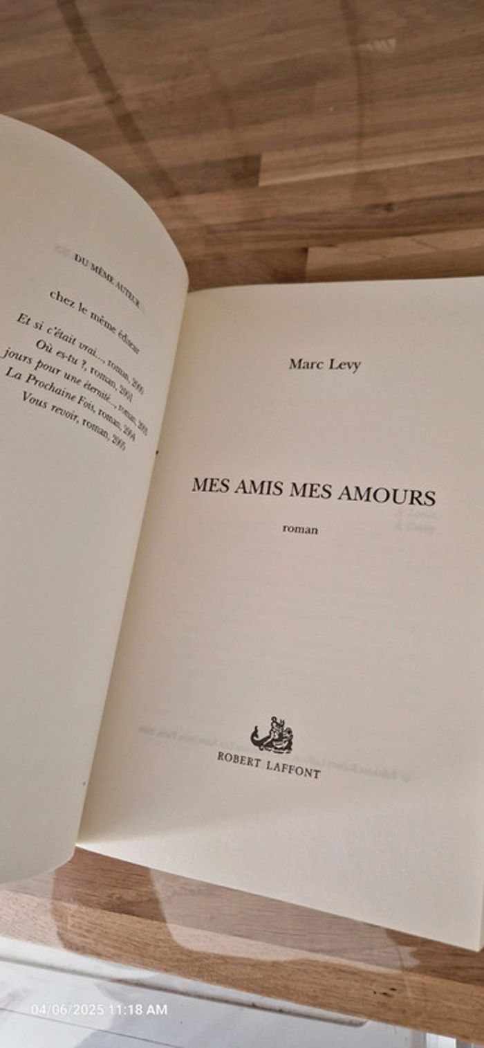 💞 Roman Marc Levy Mes amis Mes amours 💞 - photo numéro 11