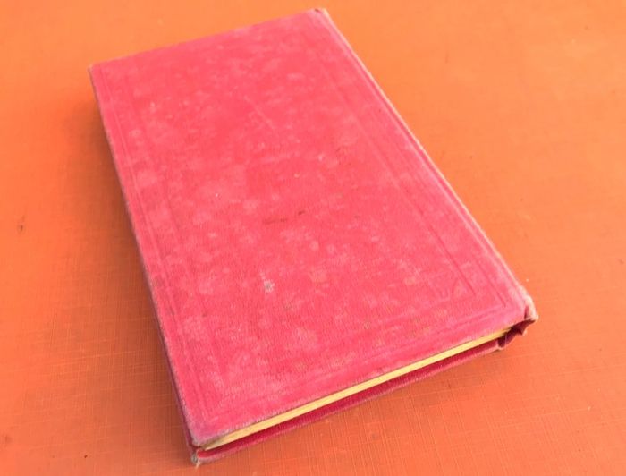 Bibliothèque Rose Illustrée Mme Denise Aubert Les années heureuses (1920) - photo numéro 9