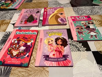 Lots livres bibliothèque rose