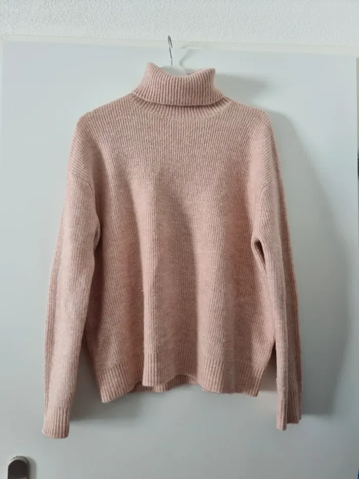 Pull col roulé Bizzbee