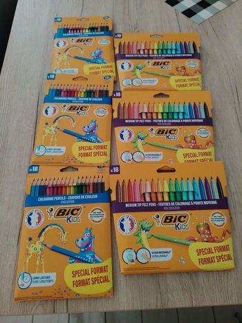 Feutres et crayons de couleur bic