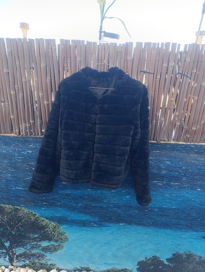 Veste fourrure - photo numéro 3