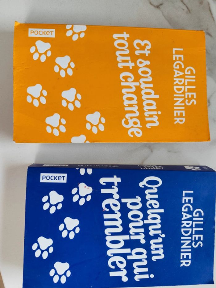 Lot Deux livres Gilles Legardinier