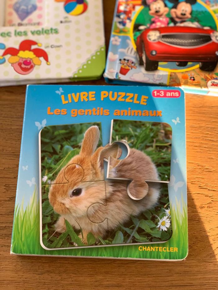 Lot livres puzzle et apprentissage - photo numéro 3