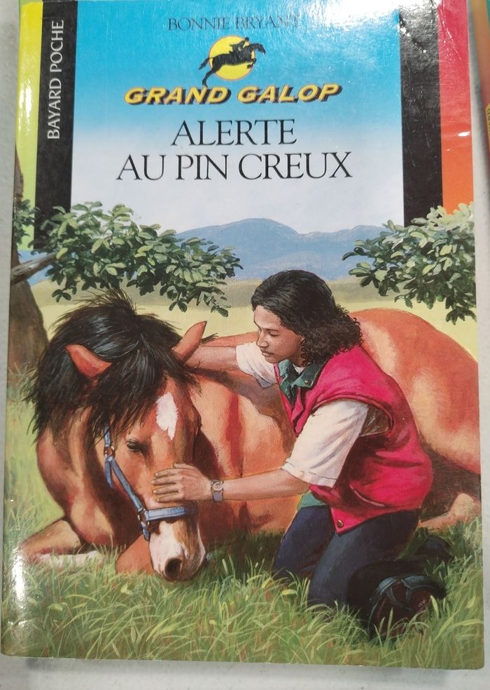 Livres sur les chevaux - photo numéro 9