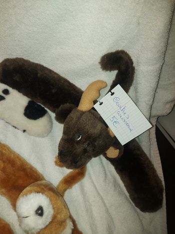 De tt de toutes tailles et de tout prix