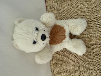 Peluche ours écru/marron poche derrière