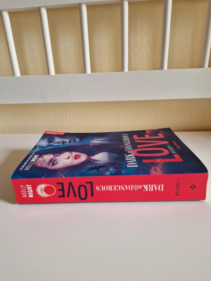 Livre romance fantastique - photo numéro 3