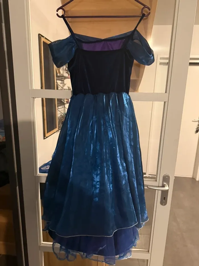 Robe déguisement - photo numéro 2