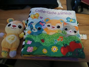 GRAND LIVRE TOUDOUX DES DECOUVERTES VTECH