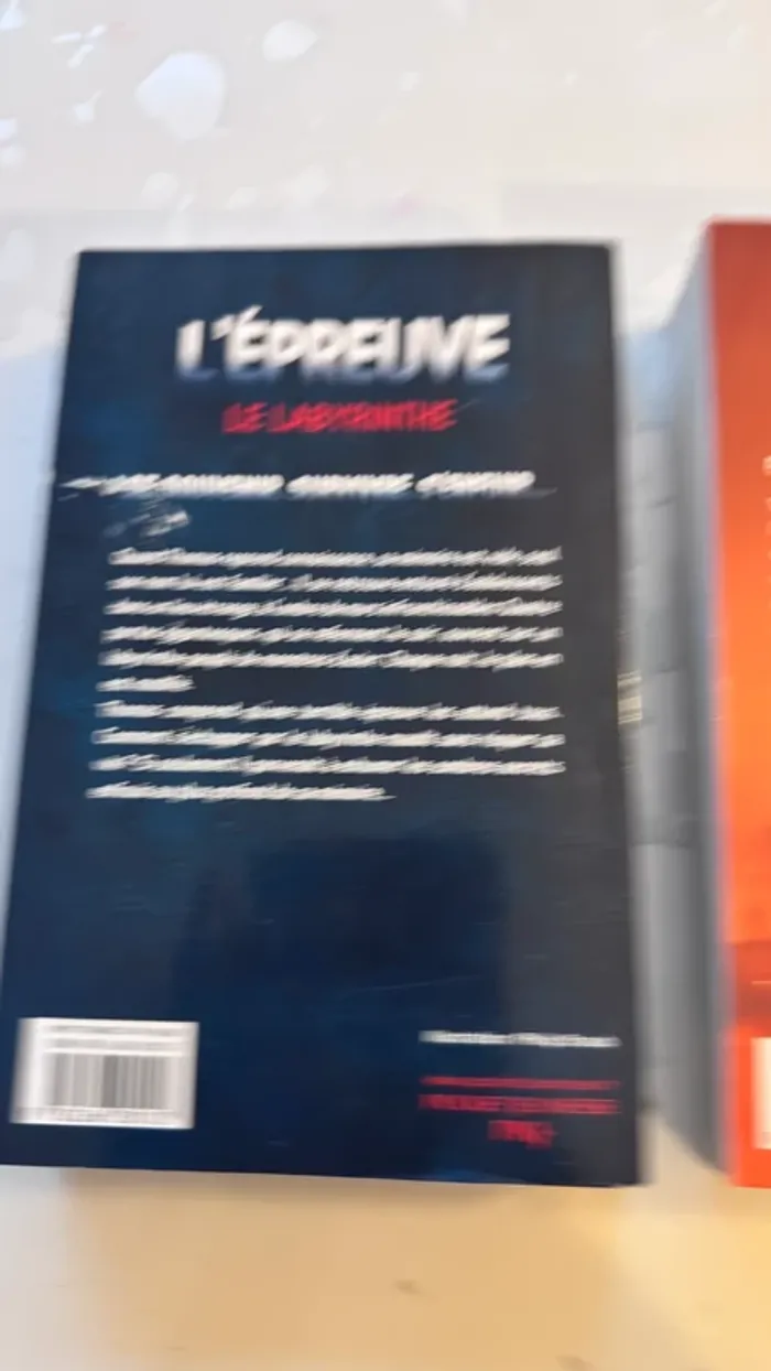 📚 Lot 2 livres – L’Épreuve de James Dashner Tome 1 : Le Labyrinthe Tome 2 : La Terre Brûlée - photo numéro 3