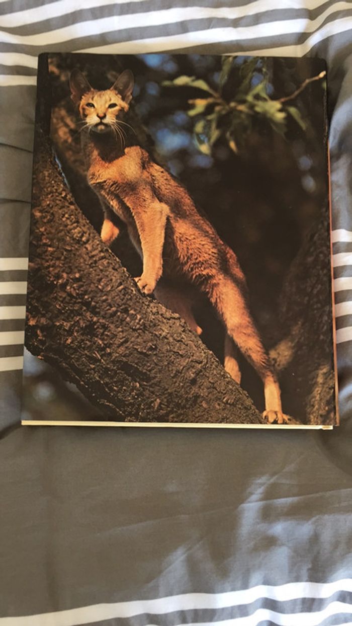 Encyclopédie des chats - photo numéro 2