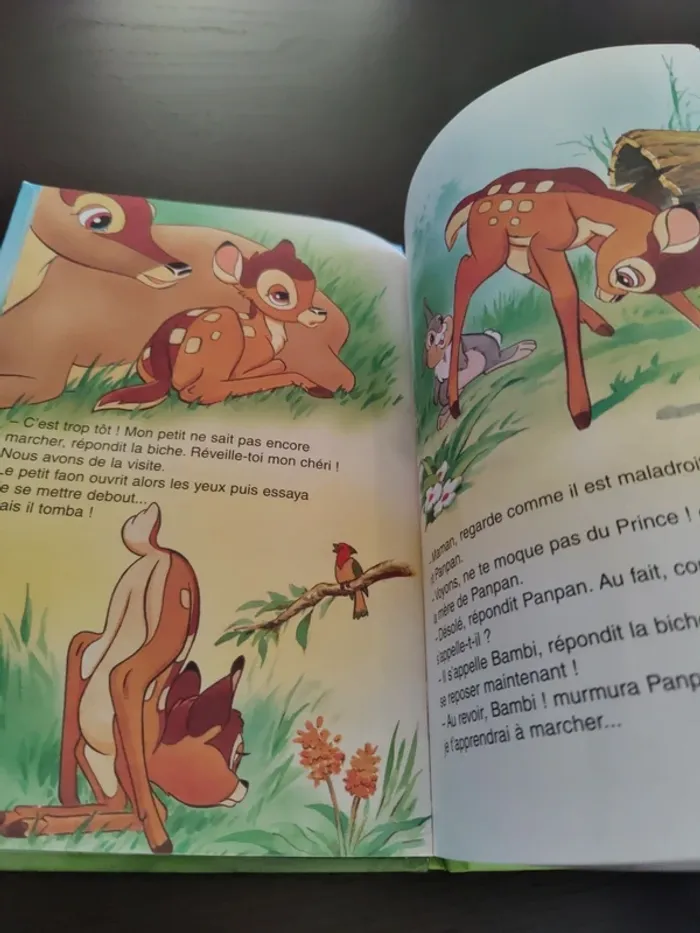 Livre Bambi - photo numéro 5