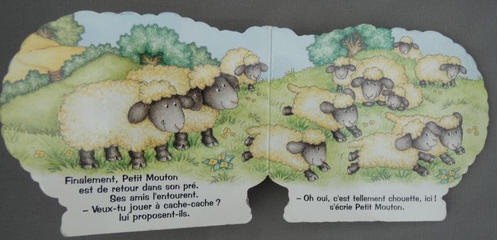 Joli livre cartonné "Un tout petit mouton" - photo numéro 7